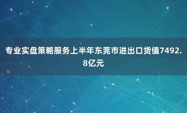 专业实盘策略服务上半年东莞市进出口货值7492.8亿元