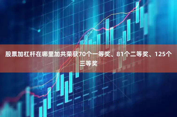 股票加杠杆在哪里加共荣获70个一等奖、81个二等奖、125个三等奖